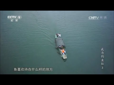 为什么有人能钓到大鱼有人只能钓到小鱼？《我为钓鱼狂》第3集【CCTV纪录】 - YouTube
