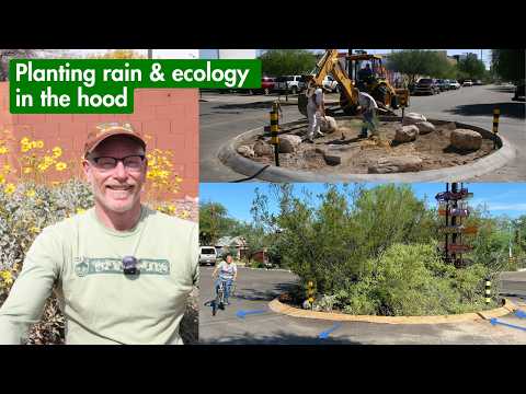 We turned weeds into wildflowers & pavement into oases!