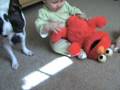 Maisy And Elmo