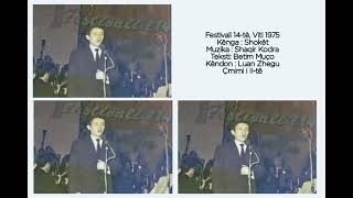 Luan Zhegu - Shokët