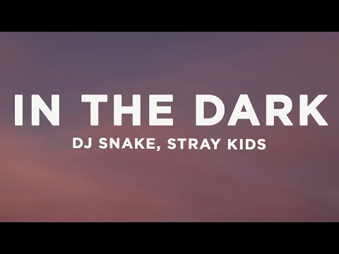 DJ Snake - In The Dark (Lyrics) ft. Stray Kids