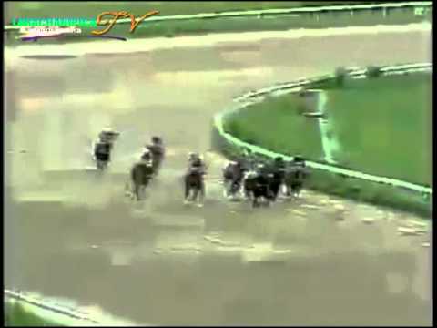 VALENCIA 8 CARRERA, JUEVES 2 DE OCTUBRE DEL 2014