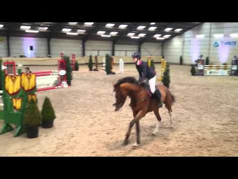 Goldwin. Arizona x contendro 2