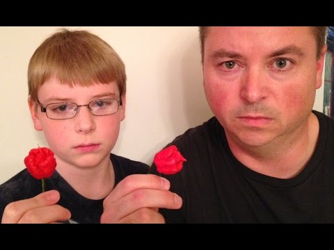 , title : '12-yr-old eats whole Carolina Reaper (Worlds Hottest Pepper) : Crude Brothers'