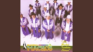 Las Nachas Music Video