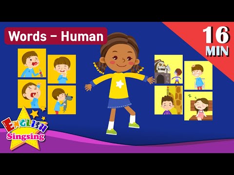Theme "Human" (Verbs, Body, Feel) - Kids vocabulary  - Words Theme collection - Learn English