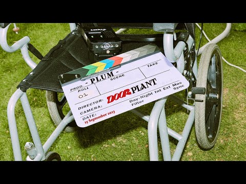 DOOR PLANT - Plum (Official MV)