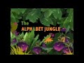 Sesame Street The Alphabet Jungle Game Part 1