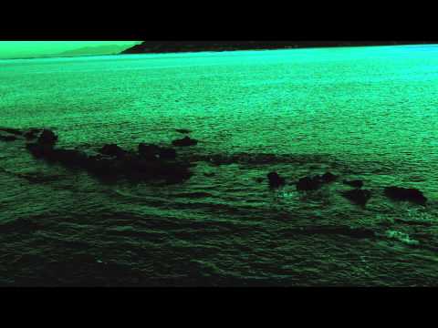 ◆ F r e e d o m ◆