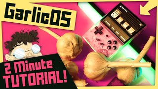 How to install GarlicOS in 2 MINUTES!  |  RG35XX Tutorial