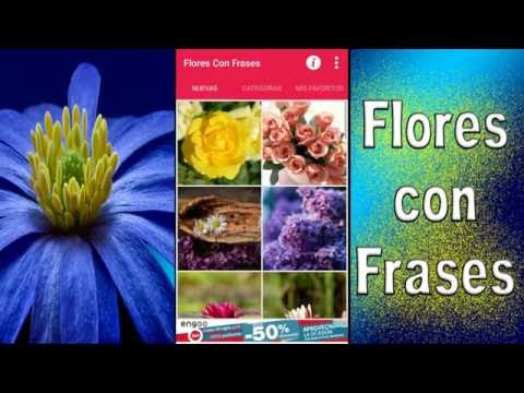 Flores con Frases Video
