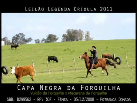 Capa Negra da Forquilha