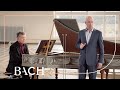 Bach - Amore traditore BWV 203 - Van de Woerd and Henstra | Netherlands Bach Society