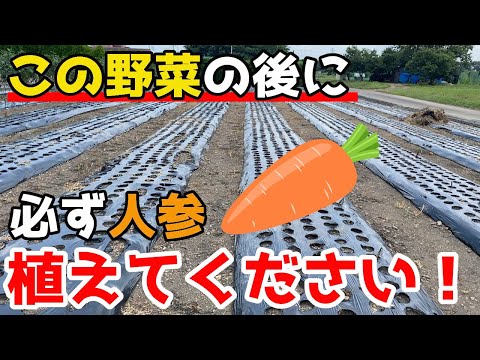 ニンジンの種まきのコツ