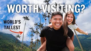 Salento and the Cocora Valley – World’s Tallest Palm Trees // Colombia Travel Vlog