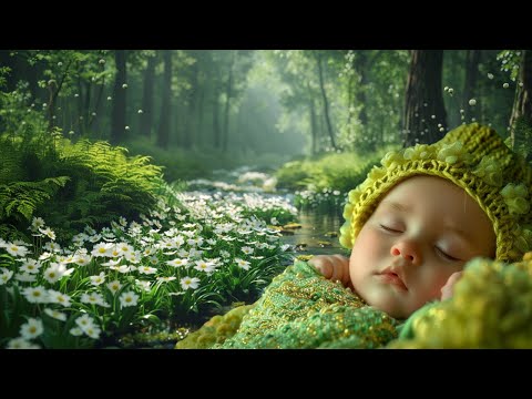 Leśna wyciszanka 🌲 Wiosenna muzyka relaksacyjna [ Gitara ] & śpiew ptaków & szum strumyka w lesie 🌼