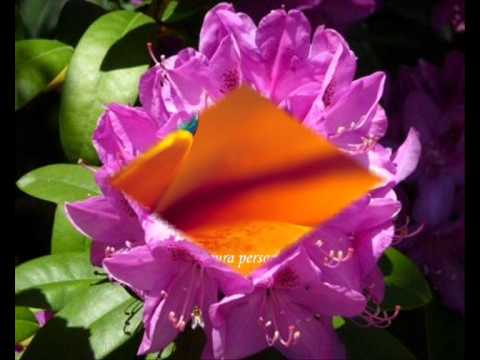 De mana cu mama..(Boys II Men -A song for mama)