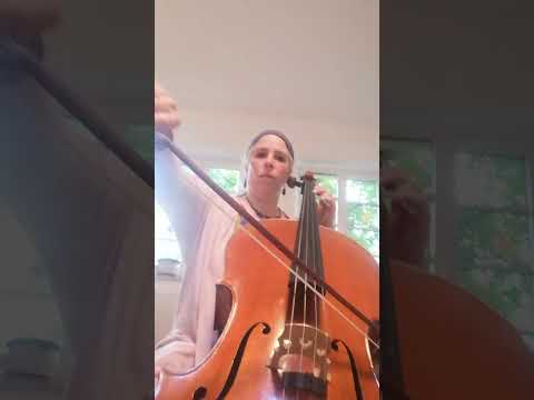 Nobody's Perfect, espress. poco rubato, Gabriel Koeppen: Talking Strings 1