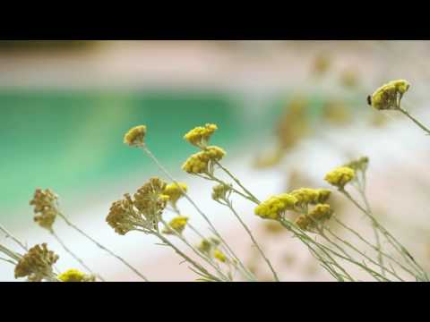 Borgo Piccaratico // wine and country holiday | Vinci, Firenze