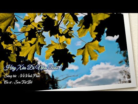 Hãy xóa đi niềm đau - Sơn Túi Đỏ