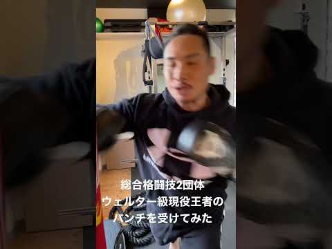 総合格闘技ミドル級現役王者（藤井章太選手）のパンチを受けてみた。