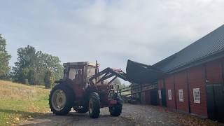 Tracteur &agrave; roues International 685 XL | Image 4 - Agroline