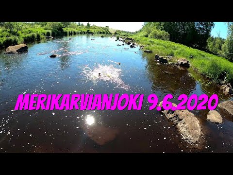 Merikarvianjoki 2020 | Kalastus 2020