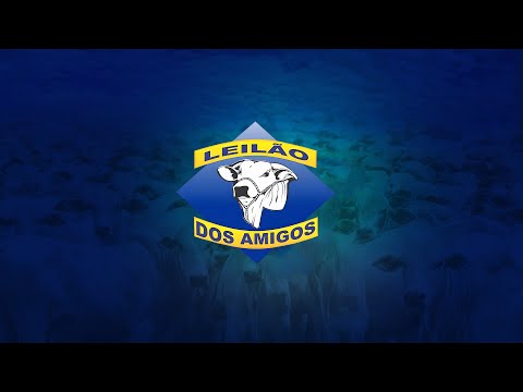 Leilão Dos Amigos -  03/08/2026 -  Transmissão ao vivo   |  Iporá - Go