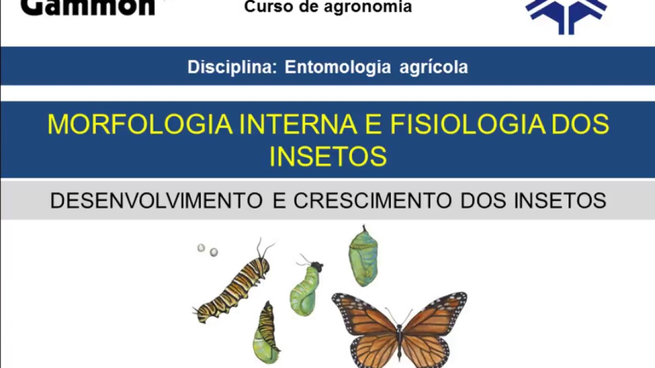 Controle hormonal dos insetos