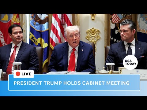 Watch live: President Trump holds cabinet meeting