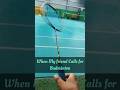 Friend Calls For Badminton Badminton Badminton Lovers Shorts India Trending