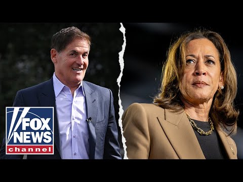 'AWFUL': Mark Cuban turned down VP vetting offer from Harris team