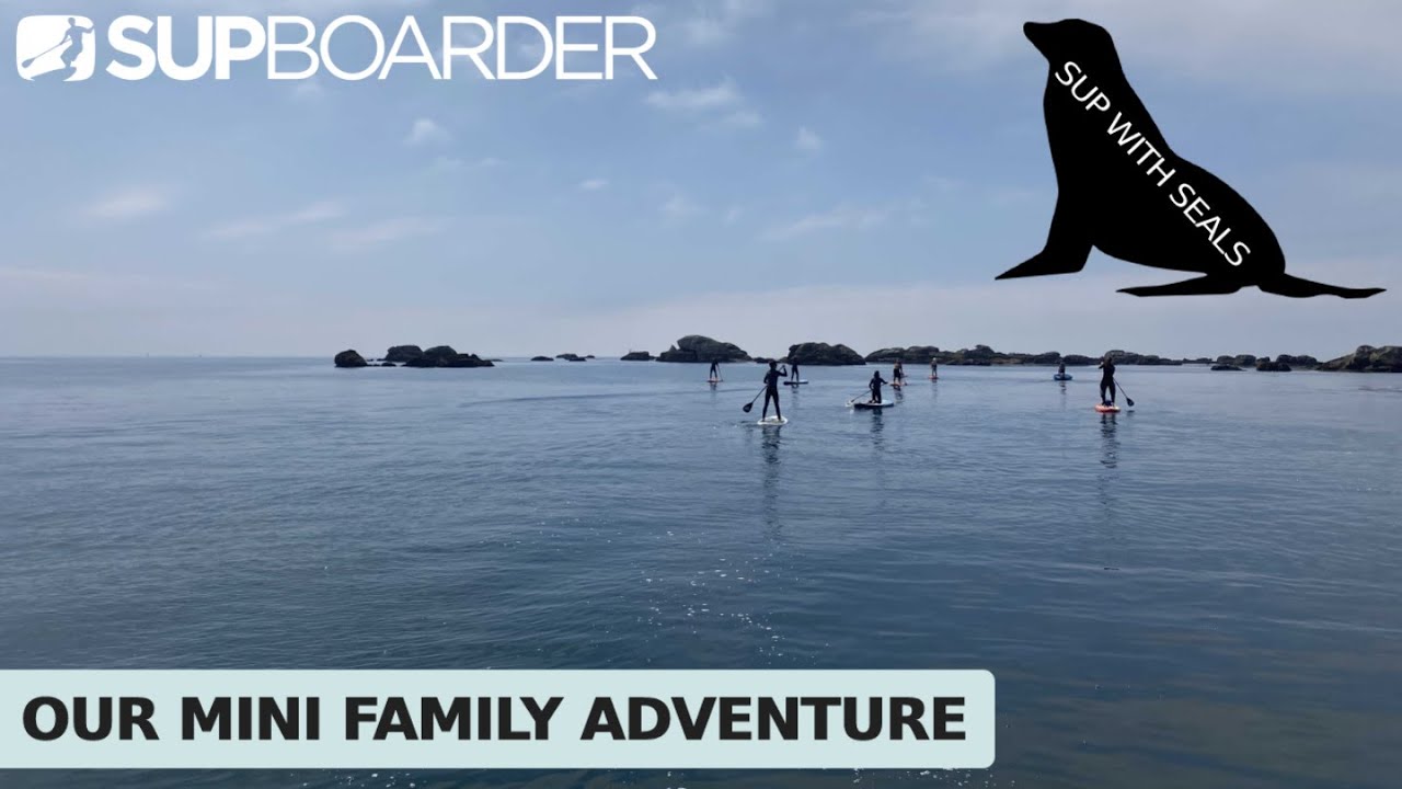 A Memorable SUP Adventure: Paddling with Seals in France