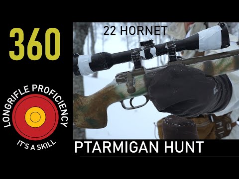 LRB 360: 22 Hornet hunting