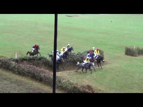 NE, 1. 9. 2018, 7. dostih - Velká cena Netolic - Velká cena GALOPP NEWS