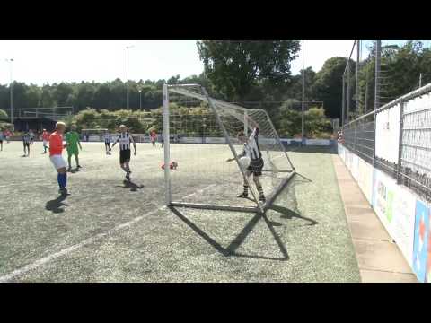 Samenvatting DVOV 1 - NTVV