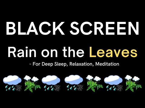 Rain on the Leaves  | Mental, Emotional and Spiritual Healing | Calm Down And Relax