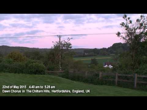 48 minutes Birdsong ~ Dawn Chorus, England 2015 time recorded 4.40 am to 5.28 am