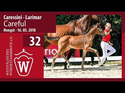 032 Careful HF v. Caressini - Larimar