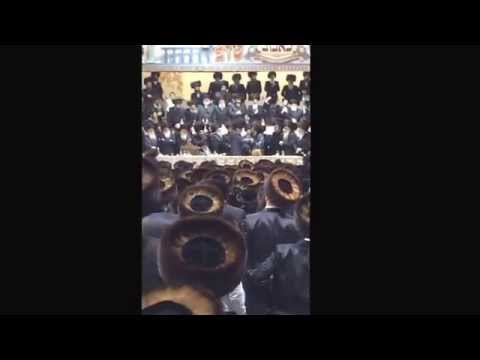 Bobov-45 Rebbie Dancing With Bobov-45 Rov at Daughter Wedding - January 15, 2014 in Brooklyn NY