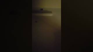 Download lagu Jan 4, 2019 #923 Noise starts @ 6:30am mp3 Download lagu Jan 4, 2019 #923 Noise starts @ 6:30am mp3