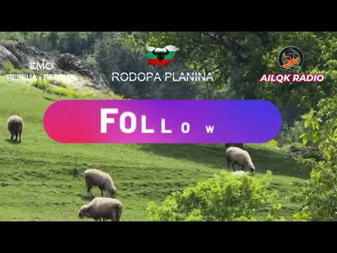 Емо Певеца Певеца хороводна китка 2 от Аиляк Радио