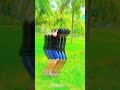 Karikuzhambu Vaasam Song GV Prakash Arya Viralshort Viral Shorts Youtubeshorts Dance