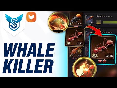 Best PvP Lineup vs Whales – The Ants: Underground Kingdom [EN]