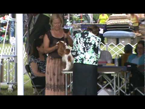 clockpelters magic charm june 2010 show.MPG