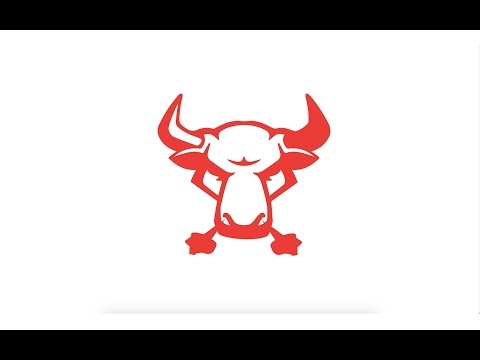 CM BULLS Vlog