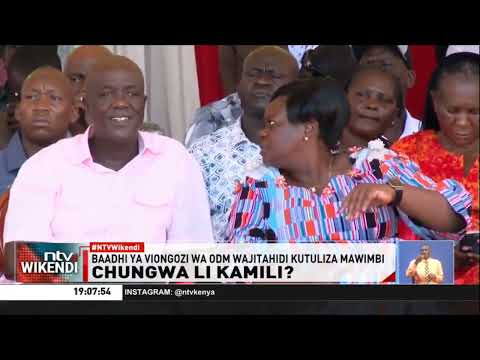 Mwenyekiti wa ODM, Gladys Wanga, asema kuwa tofauti za kimawazo hazitoyumbisha chama