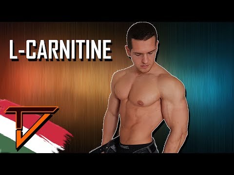 L-karnitin – a biztos fogyás titka? | Well&fit