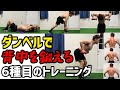 【サーキットトレーニング】ダンベルで行う背中の筋トレ6種目