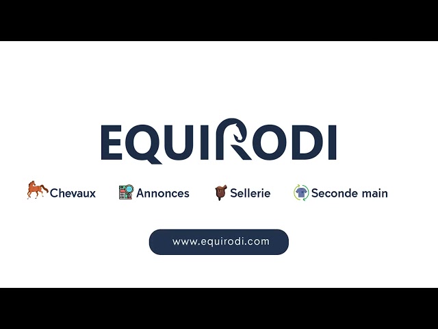 ? Pouliche palomino yeux bleus &ndash; futur cheval de sport